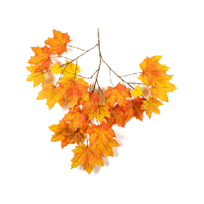 maple-tak-orange-kunstplant_bc9af9.png