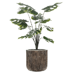 Monstera Toef in Baq Luxe Lite Universe Waterfall 1.png