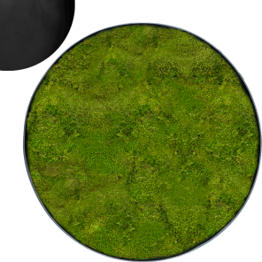 Mosschilderij Rond 100- Platmos Antraciet.png