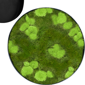 Mosschilderij Rond 30- Bolmos 70- Platmos Antraciet.png