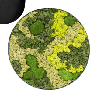 Mosschilderij Rond 30- Bolmos 70- Rendiermos Antraciet.png