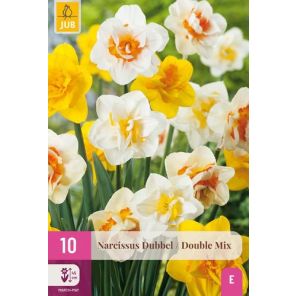 narcissus dubbel mix 10.jpg