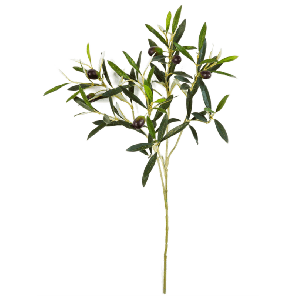 Natural Olive Spray PNG.png