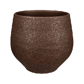 noor velvet brown.png