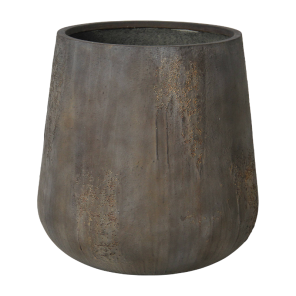 oyster pax bruin.png