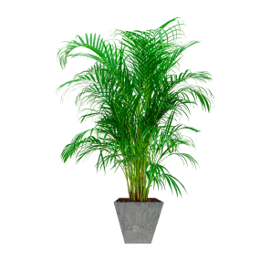 Palm Areca Large in Ella Artstone - 30 cm - Grijs.png