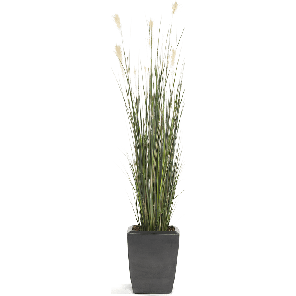 pampas-grass-kunstplant_2df33e.png