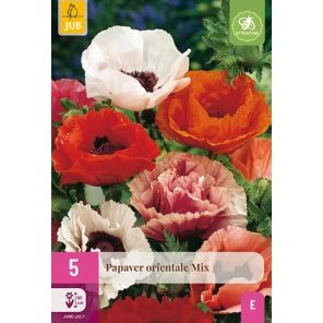 Papaver Orientale Mix.jpg