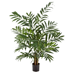 parlour-palm-110cm_9de7f9.png