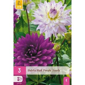 Pink Purple Touch.jpg