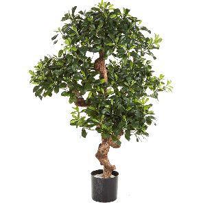 pittosporum-mountain-kunstplant_add2e0.png