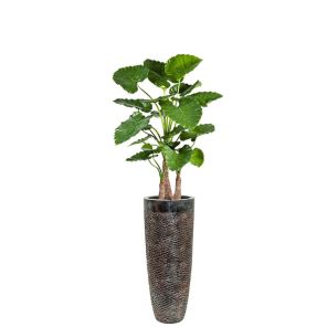 plant-pot_728743.jpg