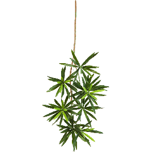 podocarpus-spray-small-kunstplant_7c7698.png