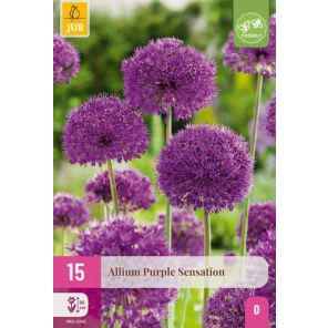 Purple Sensation 15.jpg
