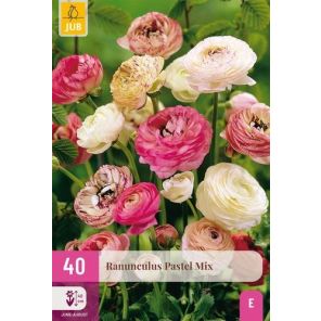 Ranunculus Pastel Mix.jpg