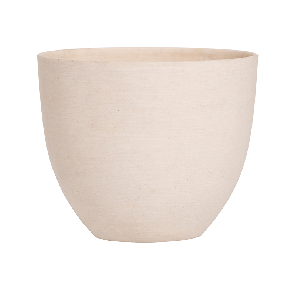 refined-coral-wit.png