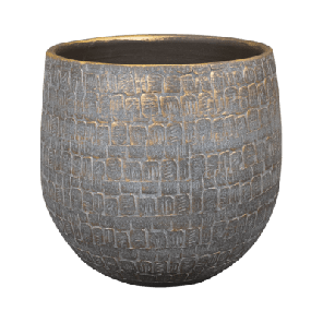 renza shiny grey.png