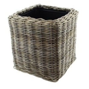 Rotan (15).png