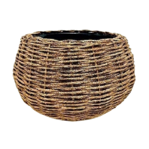 Rotan  (1)_1.png