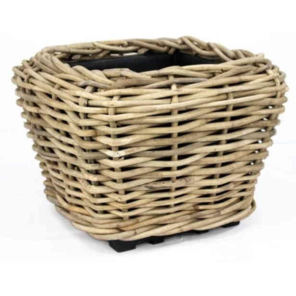 Rotan (11).png