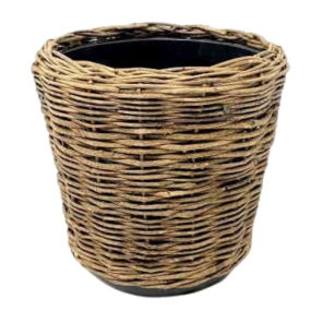 Rotan (12).png