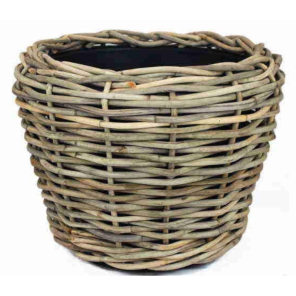 Rotan (8).png