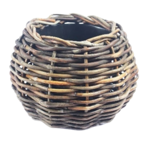 rotan.png