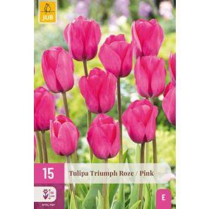 Roze Triumph Tulpen - 15 stuks.jpg