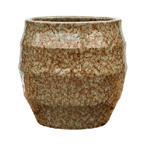 samba sage green.png