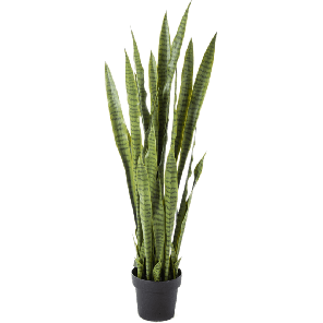 sansevieria-xl-kunstplant_ef8042.png