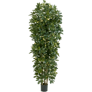 schefflera-gold-capella-kunstplant_037f5e.png