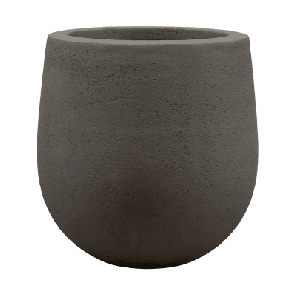 seren balloon bruin.png