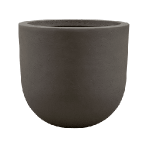 seren couple bruin.png