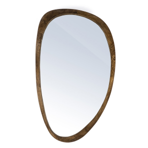 spiegel plecto bruin.png