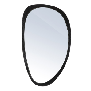 spiegel plecto zwart.png