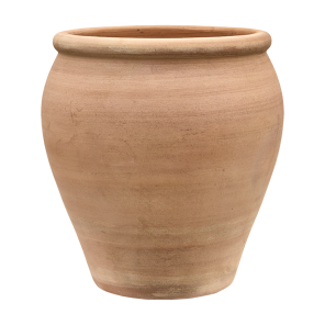 Terracotta Antica Genova.png