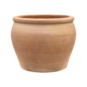 Terracotta Antica Roma.png