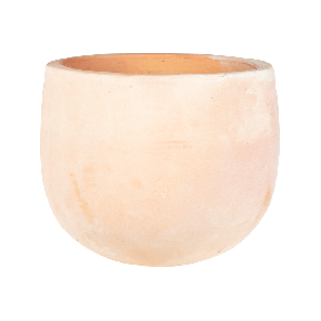 Terracotta Omar Terra.png