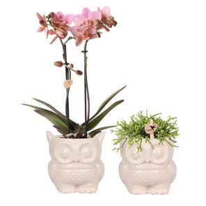 thumbnail_6000 (18).jpg