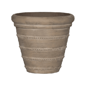 Treasure selena beige.png