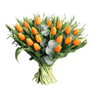 Tulpenboeket Amalia.png