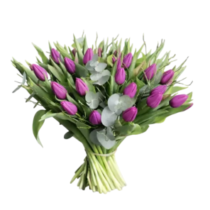 Tulpenboeket Ayla.png