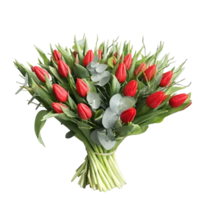 Tulpenboeket Elise.png