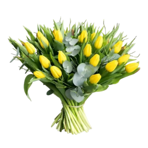 Tulpenboeket Yuna.png