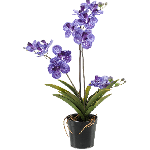 vanda-purple-kunstplant_7047a7.png