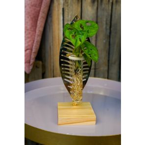 Verona Monstera (4).jpg