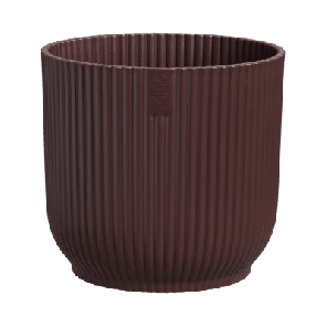 vibes bordeaux rood.png