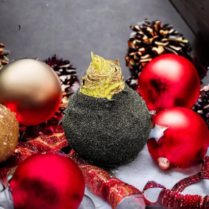 Wax amaryllis Polar.png