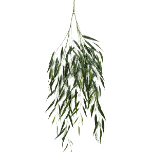 willow-spray-kunst_8615a9.png