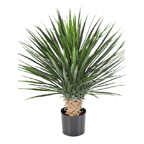 yucca-rostrata-kunstplant_f4da37.png